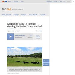 Ecologists Turn To Planned Grazing To Revive Grassland Soil : The Salt