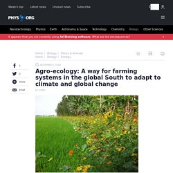 PHYS_ORG 04/12/18 Agro-ecology: A way for farming systems in the global South to adapt to climate and global change