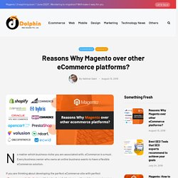 Reasons Why Magento over other eCommerce platforms? – Dolphin Web Solution