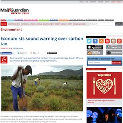 Economists sound warning over carbon tax