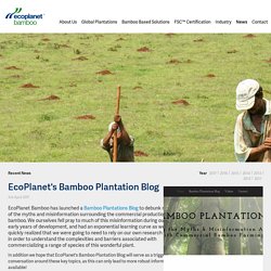 EcoPlanet's Bamboo Plantation Blog