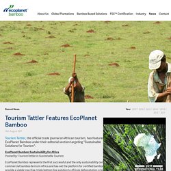 EcoPlanet Bamboo - A Sustainable Tourism Solution