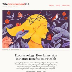 Ecopsychology: How Immersion in Nature Benefits Your Health