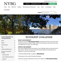 EcoQuest Challenge » New York Botanical Garden