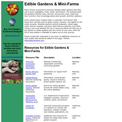 EcoSchool Design: Edible Gardens and Mini-Farms