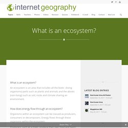 What is an ecosystem? - Internet Geography