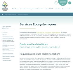 Services Ecosystémiques – Pôle-relais Zones Humides Tropicales