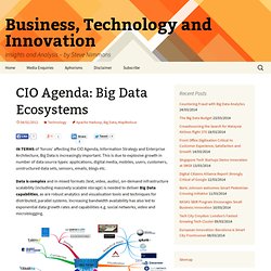CIO Agenda: Big Data Ecosystem