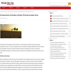 Ecotourisme Activités à Dubaï, Émirats Arabes Unis - Mode De Vie