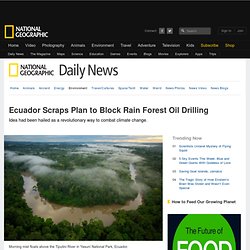Ecuador Scraps Plan to Block Rain Forest Oil Drilling