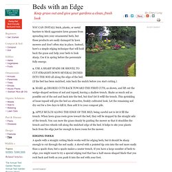 Best Edges for Garden Beds