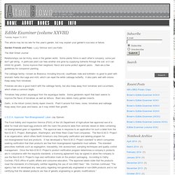 Edible Examiner (volume XXVIII) : Alton Brown