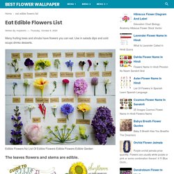 Eat Edible Flowers List - Best Flower Wallpaper
