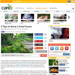 Grow an Edible Food Forest - Care2 Healthy Living
