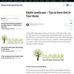 Edible Landscape – Tips to Have One in Your Home