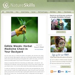 Edible Weeds: Herbal Medicine Chest in Your Backyard