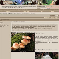 List of Edible Mushroom with photo's - Michigan Morels index