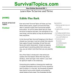 Edible Pine Bark