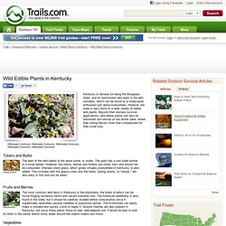 Wild Edible Plants in Kentucky