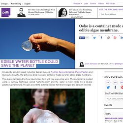 Edible Water Bottle Could Save The Planet