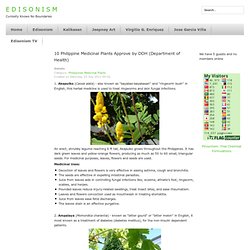 Edisonism.com