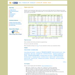 Ajax editable data grid - DHTML grid control with flexibility and user API.