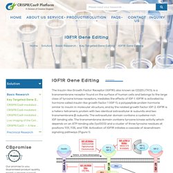 IGF1R Gene Editing - Creative Biogene CRISPR/Cas9