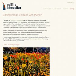 Editing image uploads with Python // The Wellfire Blog