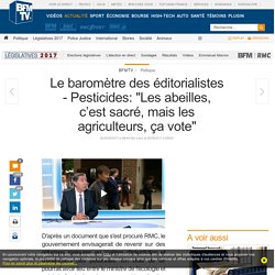 Le baromètre des éditorialistes - Pesticides: « Les abeilles, c’est sacré, mais les agriculteurs, ça vote »