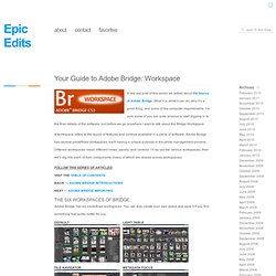 Your Guide to Adobe Bridge: Workspace