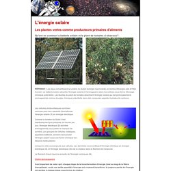 Guide de l'éducateur - L'énergie solaire