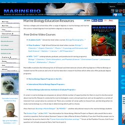 Education and Careers in Marine Biology