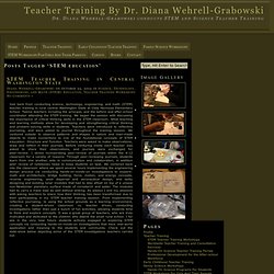 Teacher Training By Dr. Diana Wehrell-Grabowski - Part 18