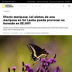 ¿Qué es el efecto mariposa? La teoría del caos