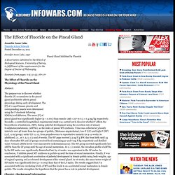 » The Effect of Fluoride on the Pineal Gland Alex Jones
