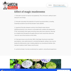 Effect of magic mushrooms - Shrooms Whole Sale