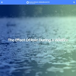 The Effect Of Rain During A Wildfire