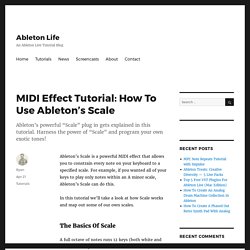 MIDI Effect Tutorial: How To Use Ableton’s Scale