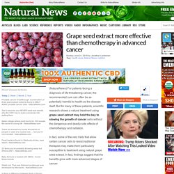 Grape seed extract more effective than chemotherapy in advanced cancer