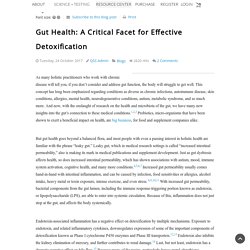 Gut Health: A Critical Facet for Effective Detoxification - Blog