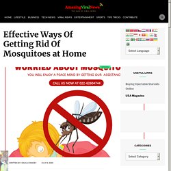 Effective Ways Of Getting Rid Of Mosquitoes at Home