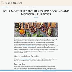 Four Most Effective Herbs for Cooking and Medicinal Purposes - Health Tips Era