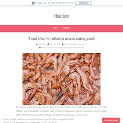 4 most effective methods to enhance shrimp growth