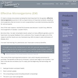 Effective Microorganisms (EM)