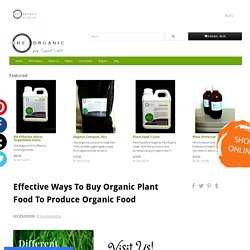 Effective Ways To Buy Organic Plant Food To Produce Organic Food