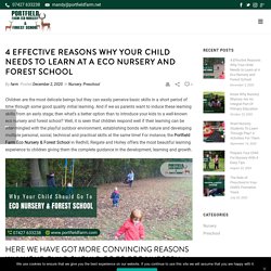 4 Effective Reasons Why Your Child Needs to Learn at A Eco Nursery and Forest School