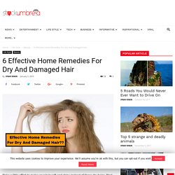 6 Effective Home Remedies For Dry And Damaged Hair