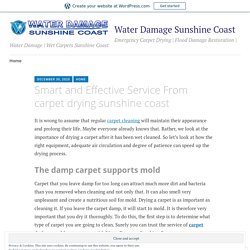Smart and Effective Service From carpet drying sunshine coast – Water Damage Sunshine Coast