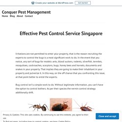 Effective Pest Control Service Singapore