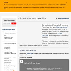 Effective Team-Working